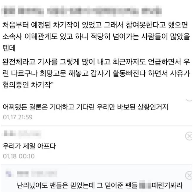 (위)손나은의 갑작스러운 행보에 비판의 목소리를 낸 한 이용자의 글과 댓글/사진=디시인사이드 '에이핑크 갤러리' 캡처