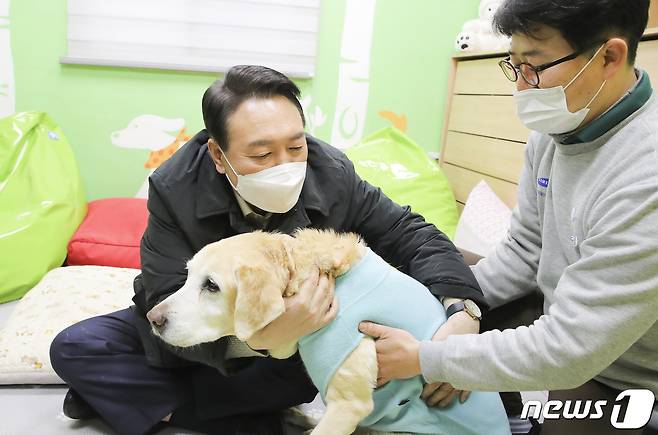 윤석열 국민의힘 대선 후보가 19일 오후 경기도 용인시 처인구 삼성화재 안내견학교를 방문해 장애인 관련 정책공약 발표에 앞서 은퇴한 안내견을 쓰다듬고있다. 2022.1.19/뉴스1 © News1 국회사진취재단