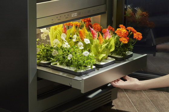 Launched last October, LG Electronics' Tiiun is an indoor plant incubator for home gardening. [LG ELECTRONICS]