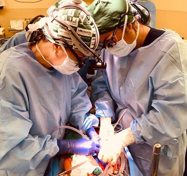 미국 앨라배마대 의료진이 유전자 교정 돼지의 신장을 뇌사환자에게 이식하는 수술을 하고 있다. 앨라배마대 제공.