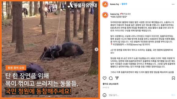 동물자유연대가 다시 한 번 국민 청원 참여를 독려했다. [사진=동물자유연대 공식 인스타그램]