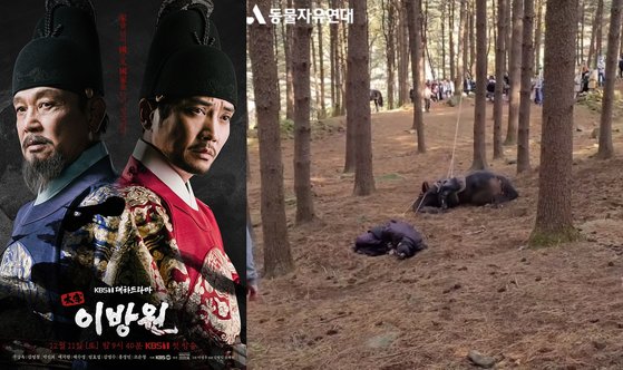 KBS 1TV 대하 드라마 '태종 이방원' 촬영 중 동물을 학대했다는 논란이 제기됐다. 사진 KBS, 동물자유연대 인스타그램