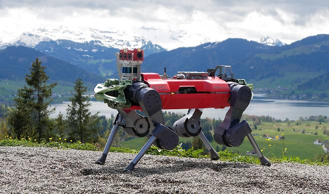 해발 1068m 산을 등산하는 데 성공한 네 발 로봇 애니말. 주변 환경에 대한 시각정보를 발에 닿는 촉감정보와 결합해 지형에 맞게 이동할 수 있었다./스위스 취리히 연방공대