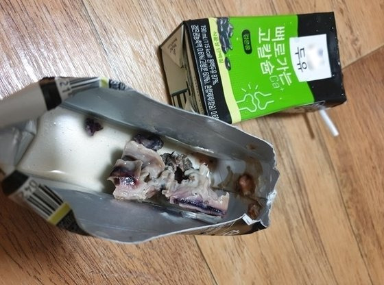 A 씨가 검은통 두유 팩에서 나왔다고 주장한 이물질 / 사진 = 온라인 커뮤니티 캡처