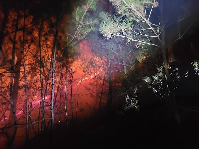 성주 용암면 산불 (사진=산림청 제공) *재판매 및 DB 금지