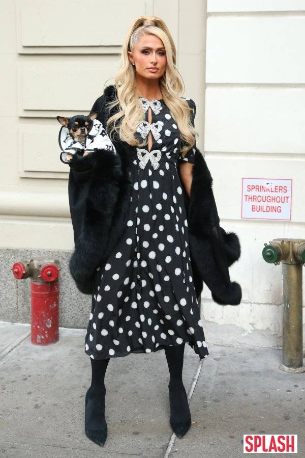 사진｜Splash News