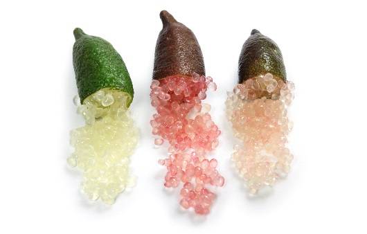 핑거라임(Finger Lime)은 호주 원산의 감귤류 열매이다