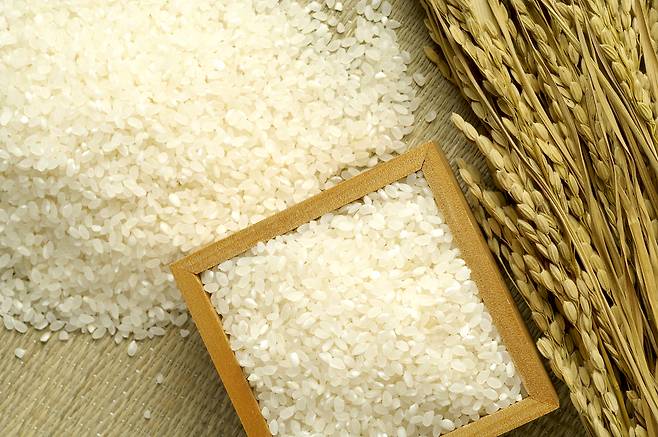 지난해 1인당 연간 쌀 소비량이 1963년 관련 통계 작성 이래 최저치를 기록한 것으로 확인됐다. /사진제공=이미지투데이