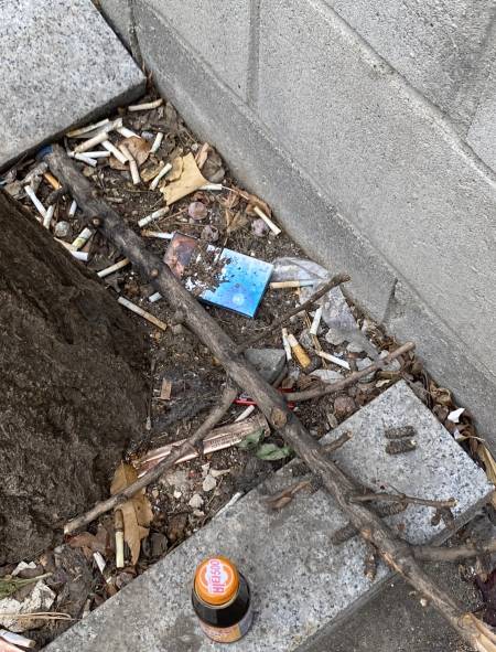 어찌 이리 구석구석 담배꽁초가 없는 곳이 없을지. 가까운 동네에도 늘 이렇게 많았다. 그냥 그런가보다 하고 살았을 뿐./사진=남형도 기자