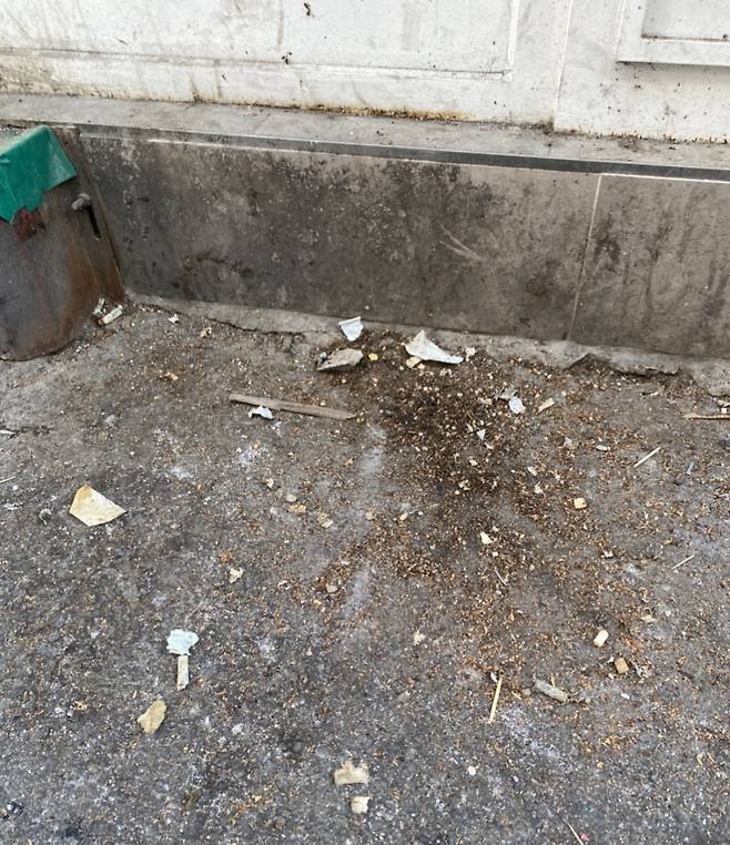 위에 있는 사진과 같은 장소다. 담배꽁초를 다 치우니 깨끗해졌다. 그래도 담뱃잎 가루들은 많이 떨어졌지만./사진=뿌듯하지만 찝찝한 기자.