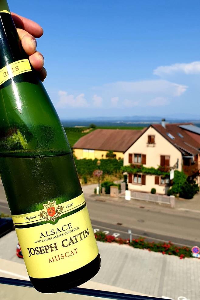 조셉 까땅 무스캇.