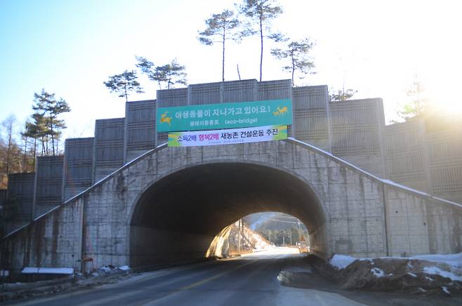 강원도 강릉시에 있는 한 생태통로의 모습. 국립생태원 제공
