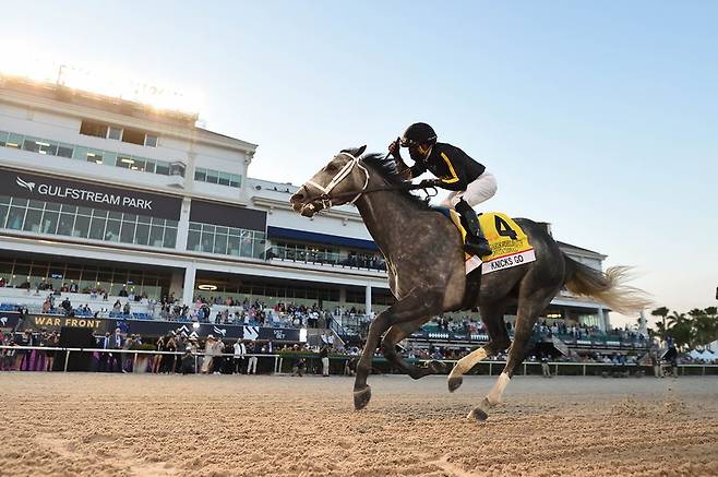 '닉스고' 경주 모습 (한국마사회 제공)