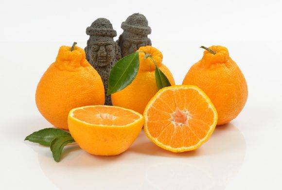 [사진=게티이미지뱅크]