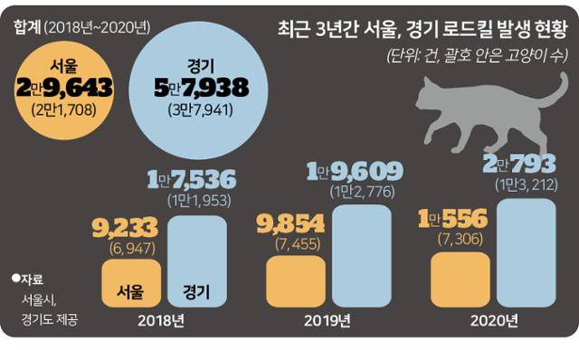최근 3년간 서울, 경기 로드킬 발생 현황