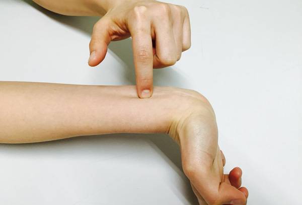 내관혈./사진=헬스조선 DB