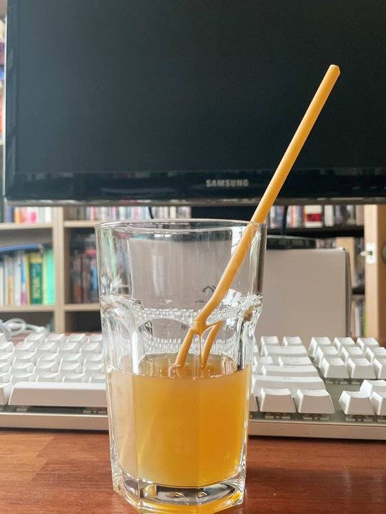 콤부차에 파스타면 빨대를 꽂아서 마셔보았다. 파스타면 빨대는 가급적 음료를 빨리 마셔야 전분이 녹아 나오지 않는다. [사진 임승현]