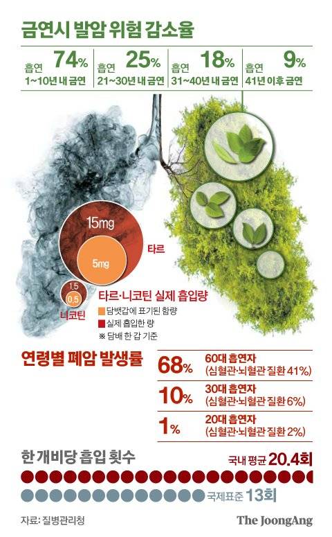 연령별 폐암 발생률. 그래픽=신재민 기자 shin.jaemin@joongang.co.kr