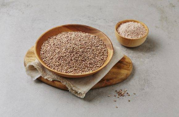 [사진=국립농업과학원]