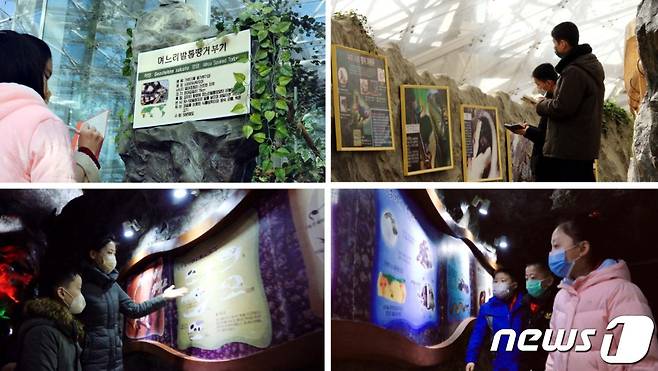 북한의 유일한 동물원 '중앙동물원'.(조선의 소리 갈무리)© 뉴스1