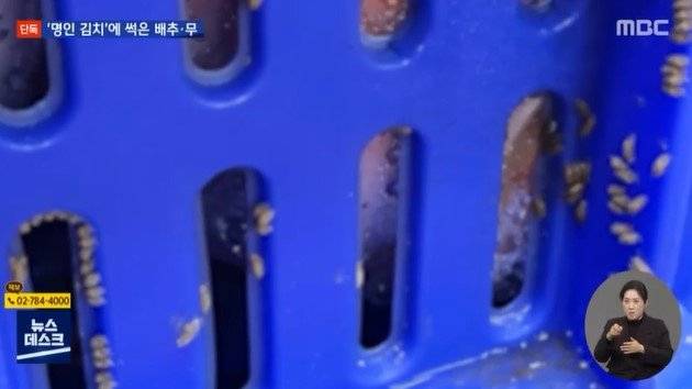 사진=MBC ‘뉴스데스크’ 방송화면 캡처