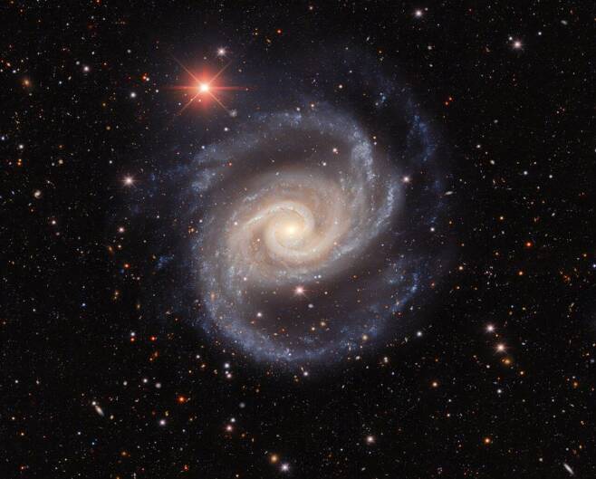 ‘스페인 댄서’라는 별명을 가진 NGC 1566 은하. 두 나선팔이 펼쳐져 있는 크기는 10만 광년이 넘는다. 거대질량 블랙홀을 중심에 품고 있다. 뾰족하게 보이는 별들은 우리은하의 별이다. 칠레의 암흑 에너지 카메라로 잡은 모습. 사진=Dark Energy Survey/T.A. Rector