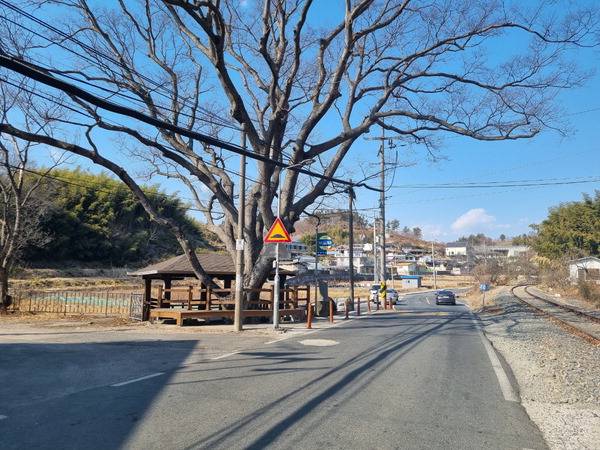 경남 진주시 정촌면 죽봉마을 입구에는 500여 년 된 느티나무가 서 있고 진삼선 철도가 마을을 관통한다.