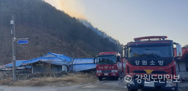 ▲ 삼척산불이 이틀째 확산중인 가운데, 5일 오후까지 원덕읍 산양리와 사곡리 일원 산림 주불을 잡지 못해 밤 사이 추가 확산 우려가 고조되고 있다. 원덕읍 산양리 마을 인근까지 산불이 번지면서 소방차량이 마을에 배치돼 만일의 사태를 대비하고 있다.
