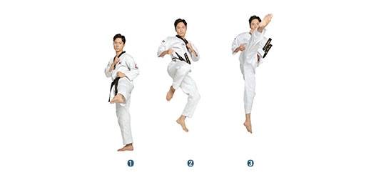 날개를 활짝 펴는 모양같다고 해서 붙여진 명칭인 태권도 나래차기 동작 [국기원 발간 태권도용어사전 사진]