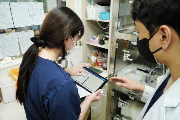 N동물의료센터 노원점에서 VEMO 사용하고 있다. [사진=코메디닷컴]