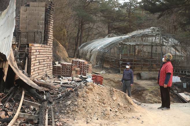 지난 6일 울진군 울진읍 정림2리에 사는 남계순·송병자씨 부부가 산불로 소실된 자신의 집을 살펴보고 있다. /장연성 기자