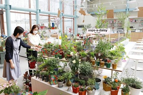 롯데백화점 안산점 가드닝 카페 '소공원'에서 고객이 반려식물을 구경하고 있다. 롯데백화점 제공.