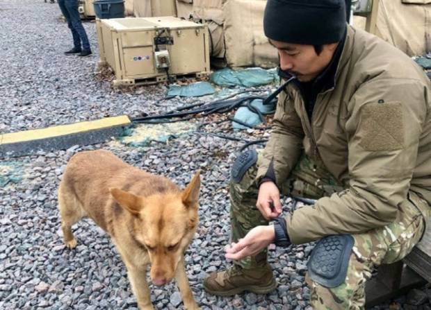 우리나라에서는 해군특수전전단(UDT/SEAL) 출신 유튜버 이근씨(예비역 대위)가 우크라이나로 갔다. 외교부는 폴란드 국경을 넘어 우크라이나로 들어간 이씨가 현재 우크라이나에 체류 중인 사실을 파악한 것으로 알려졌다.