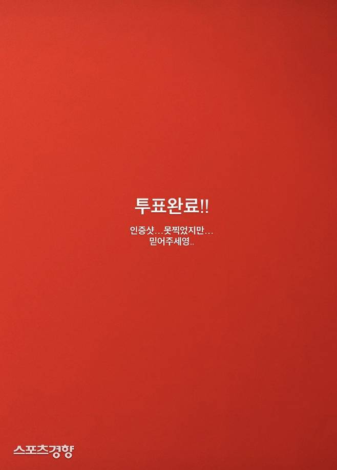 전소미가 올린 투표 인정 게시물. 인스타그램 스토리 캡처