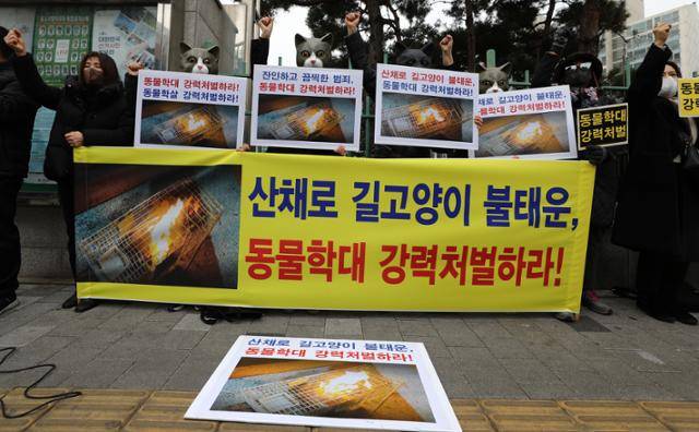 한국동물보호연합 등 동물단체 회원들이 지난달 14일 오후 서울 마포경찰서 앞에서 산 채로 길고양이를 불태우는 등 동물 학대 영상을 디시인사이드에 올린 사람들에 대한 강력 처벌 촉구를 하고 있다. 뉴시스