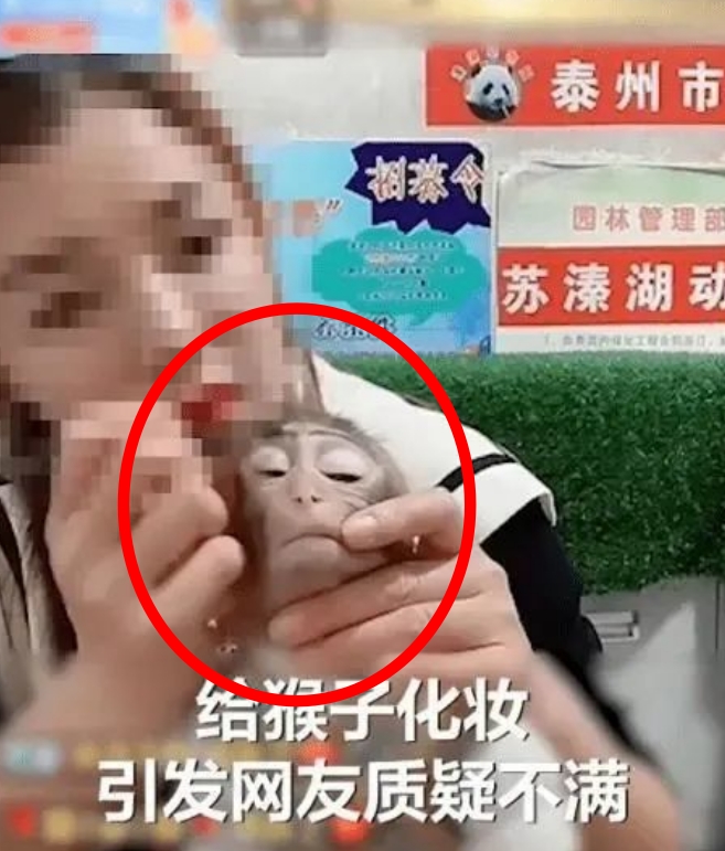 원숭이 얼굴에 강제로 화장을 하면서 화장품을 파는 동영상을 공개한 중국 사육사.