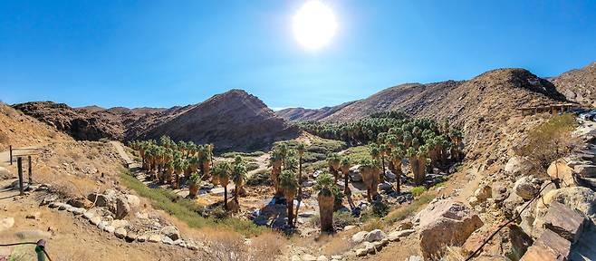 햇볕에 달궈진 사막의 갈색 대지에 자리 잡은 오아시스. 오아시스 계곡을 따라 팜트리 숲이 뻗어 있다.