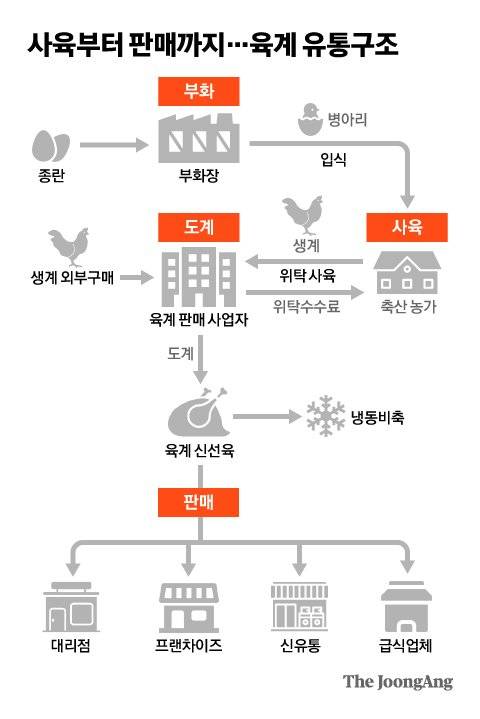사육부터 판매까지...육계 유통구조. 그래픽=차준홍 기자 cha.junhong@joongang.co.kr