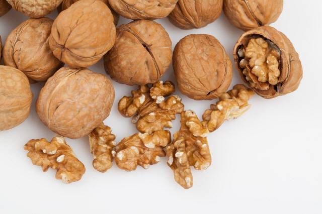 유방암 예방을 위해서는 호두, 땅콩 등 견과류와 잡곡밥을 먹는 게 좋다./사진=클립아트코리아