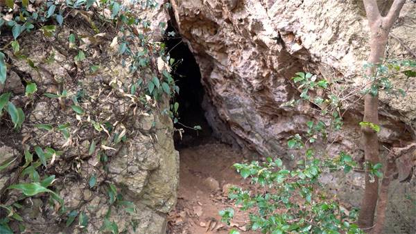진도 향동리 야산에 있는 옛 호랑이굴