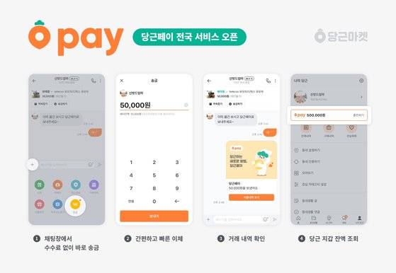 14일 전국서비스를 시작한 당근마켓의 당근페이. [당근마켓 제공]