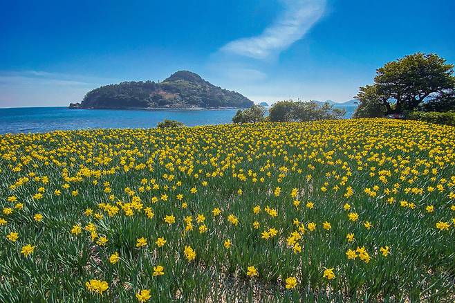 [서울=뉴시스]거제 공곶이 (사진 = 거제시청) 2022.3.23. photo@newsis.com *재판매 및 DB 금지