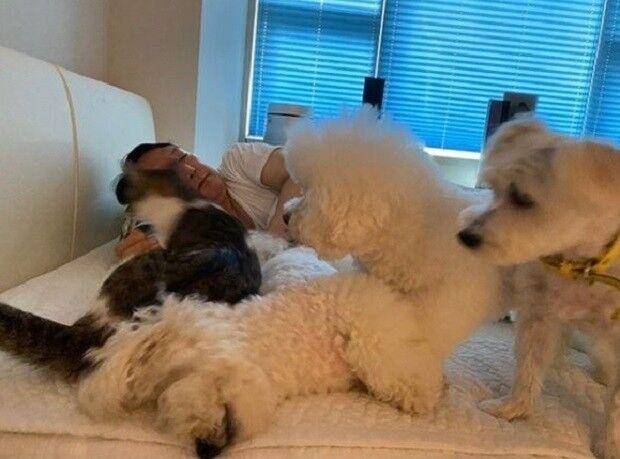 윤석열 대통령 당선인이 반려동물에 둘러싸여 있다. 윤석열 당선인 SNS 캡처