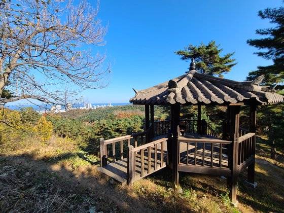 속초 청대산 도시숲에서는 속초 앞바다가 잘 보인다.