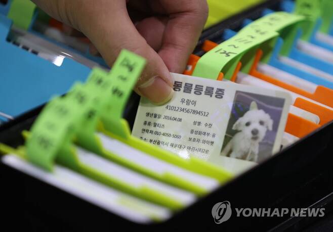'반려동물 민증 받으세요' 지난해 9월 5일 서울 강남구 SETEC에서 열린 2021 서울펫쇼에서 SBS동물농장과 와이펫이 등록 및 발급해준 반려동물등록증이 놓여져있다. [연합뉴스 자료사진]