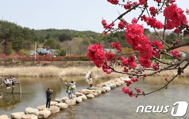 3월 마지막 휴일인 27일 충북과 세종지역은 오후부터 맑겠다. /뉴스1 © News1