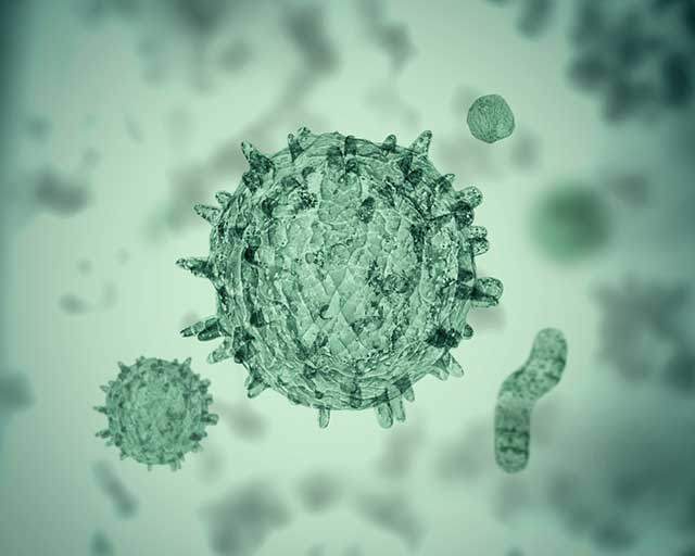 코로나19 백신 접종과 오미크론 변이 감염을 통해 획득한 항체는 델타크론 예방 효과가 있을 것으로 파악된다./게티이미지뱅크