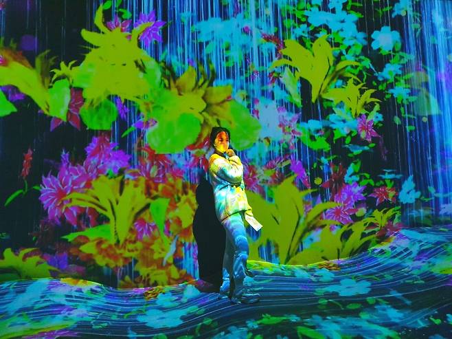 순창발효테마파크 발효소스토굴 미디어아트포토존