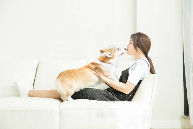 반려견과의 뽀뽀는 드물게 감염을 일으킬 수 있다./사진=클립아트코리아