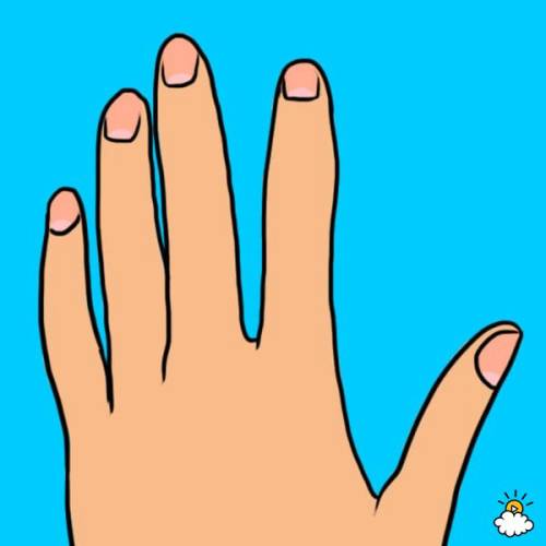 Tayra Lucero for LittleThings